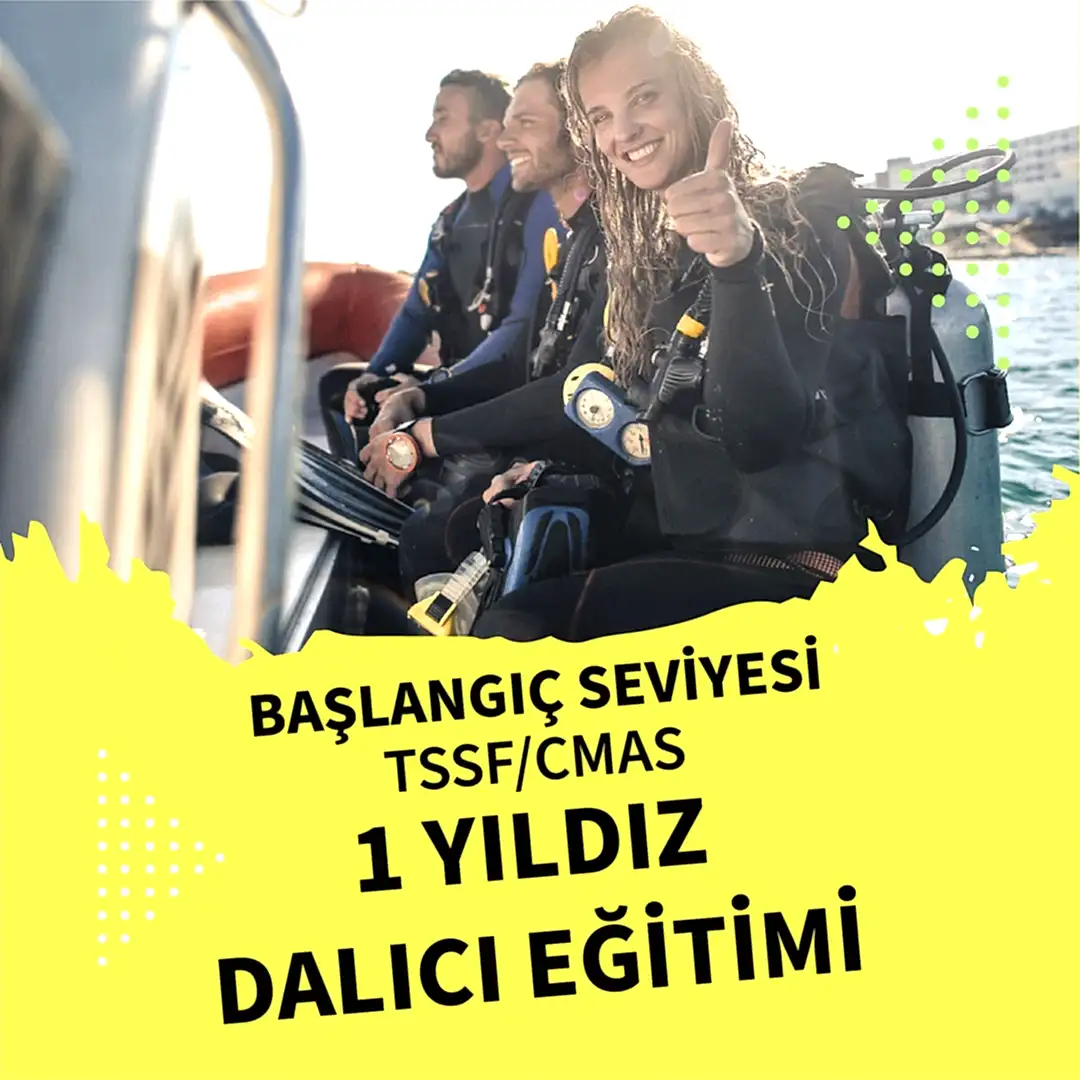 DFC_1-yildiz