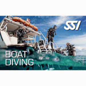 SSI BOT DALIŞI