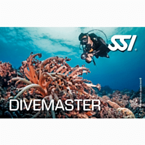 SSI DIVE MASTER