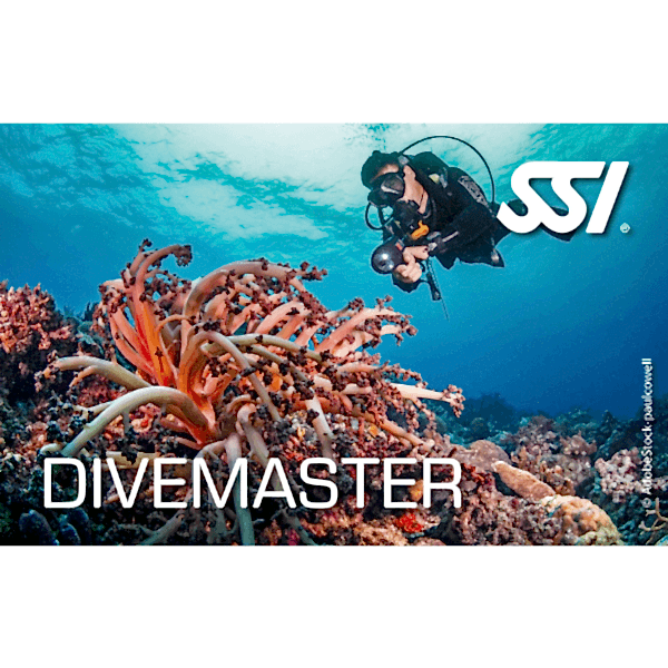 divemaster