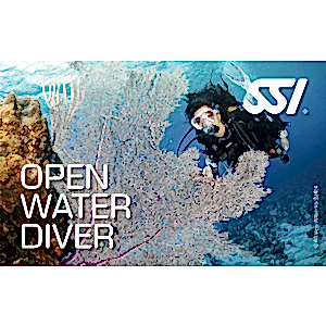 SSI OPEN WATER DIVER