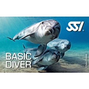 SSI BASIC DIVER