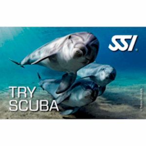 SSI TRY SCUBA