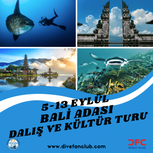5-13 EYLÜL BALİ ADASI DALIŞ VE KÜLTÜR TURU