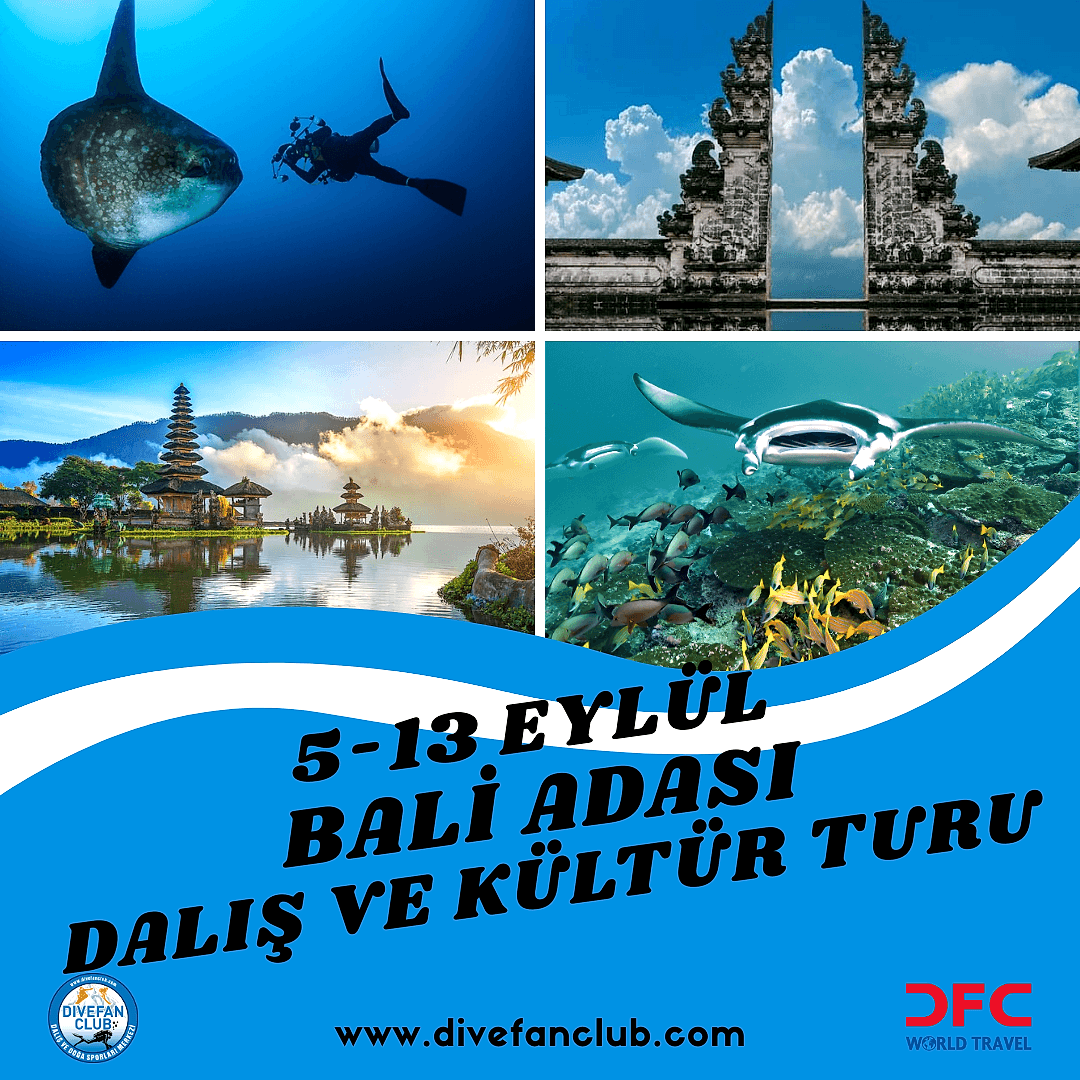 EYLÜL BALİ