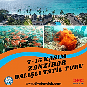 🌊 7-14 KASIM ZANZİBAR DALIŞLI TATİL VE KÜLTÜR TURU