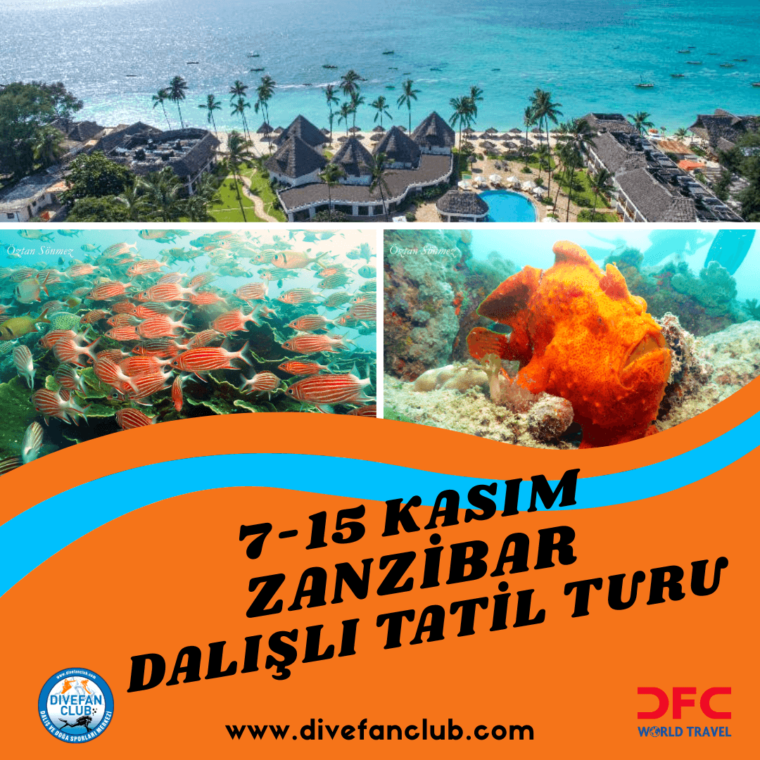 Zanzibar kasım