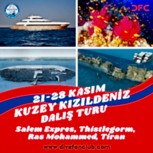 21-28 KASIM KUZEY KIZILDENİZ LİVEABOARD DALIŞ TURU