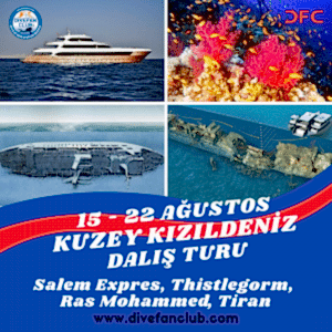 15-22 AĞUSTOS KUZEY KIZILDENİZ LİVEABOARD DALIŞ TURU