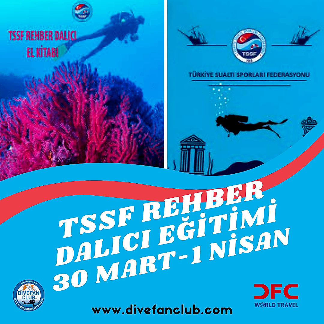 REHBER EĞİTİMİ