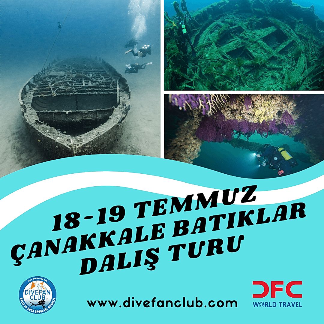 ÇANAKKALE TEM