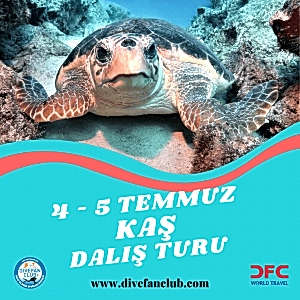 4-5 TEMMUZ KAŞ DALIŞ TURU
