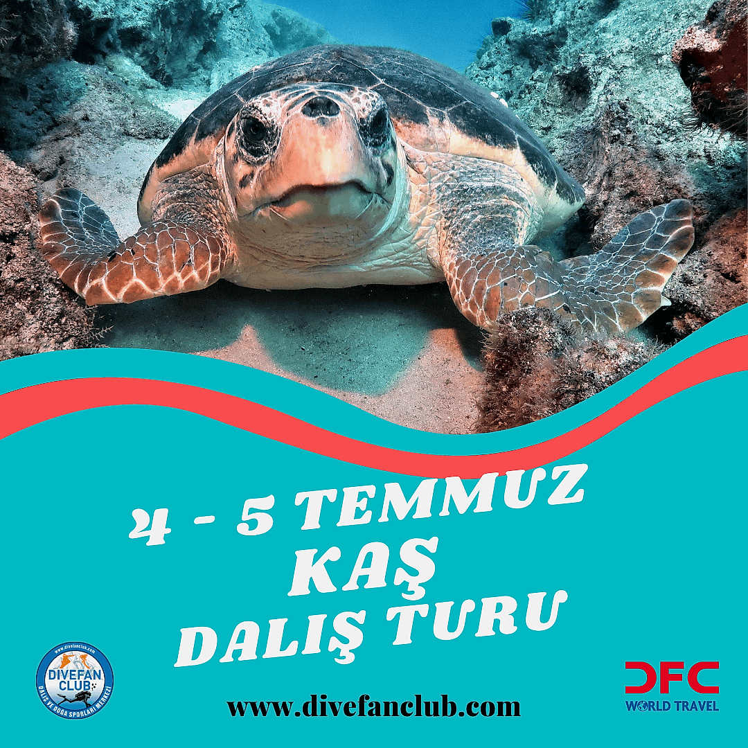 KAŞ TEM