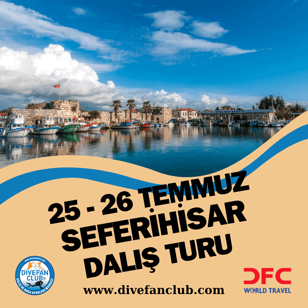 SFERİHİSAR TEMM